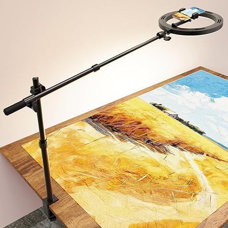 Desk Ring Light with Stand and Overhead Phone Mount,Tripod for iPhone with Ring Light,Phone Holder for Video Recording, 3 Light Modes, Circle Light Ringlight for Artist/Painting/Content Creator