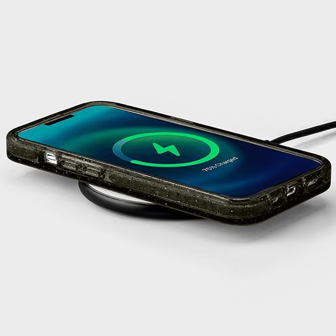 CASETiFY Impact Case for iPhone 13 Pro Max Compatible with Magsafe - Black Kingsnake - Clear Black