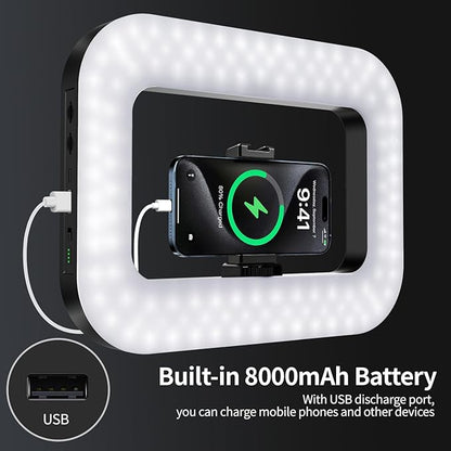 yAyusi Cell Phone Light for Video Recording, Handheld Phone Stabilizer with Light, 8000mAh LED Selfie Phones Ring Light with Phones Holder, Smartphone Video Rig for Camera, Action Camera, Vlog, TikTok