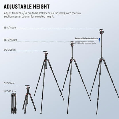 NEEWER Basics Carbon Fiber Travel Tripod Monopod, 64" Compact Lightweight Portable Camera Cell Phone Holder Stand Compatible with iPhone Video Recording, Arca Type Ball Head, Max Load 13.2 lbs, TP17B