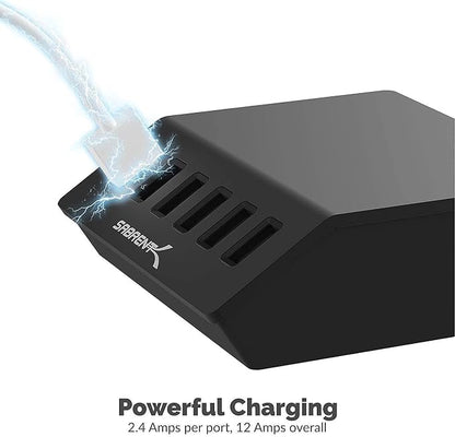 Premium 60 Watt (12 Amp) 6 Port Aluminum Family Sized Desktop USB Rapid Charger.+[3-Pack 22AWG Premium High Speed 3ft USB-C to USB A 3.2 Charge Cables Fast Sync