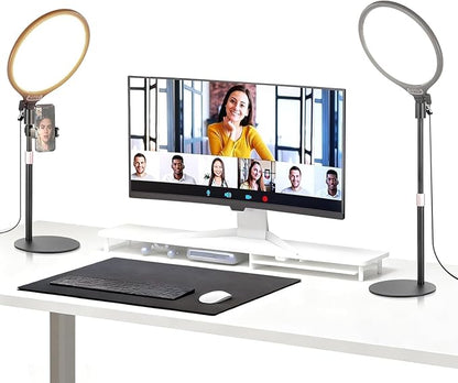 NEEWER Basics 2 Pack 10.5" Desktop LED Ring Light with Stand for Desk/Phone Holder, 3000-6500K Full Screen 15W Panel Lighting for iPhone Recording Streaming Selfie Laptop Webcam Video Conference, R10
