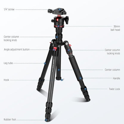 NEEWER Basics Carbon Fiber Travel Tripod Monopod, 64" Compact Lightweight Portable Camera Cell Phone Holder Stand Compatible with iPhone Video Recording, Arca Type Ball Head, Max Load 13.2 lbs, TP17B