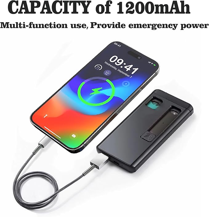 2 in 1 Charging Case with Magnetic Holder, Portable Charging Storage Device with Charging Cable,Storage Holder, USB Cable, 2 Magnetic Storage Spaces (Case only) Black