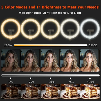 10" LED Ring Light with Overhead Phone Stand, CRI≥95 1200lm Dimmable Lighting, Adjustable Metal Arm with Remote & Phone Holder, for Streaming, Makeup, Zoom Calls, Photography