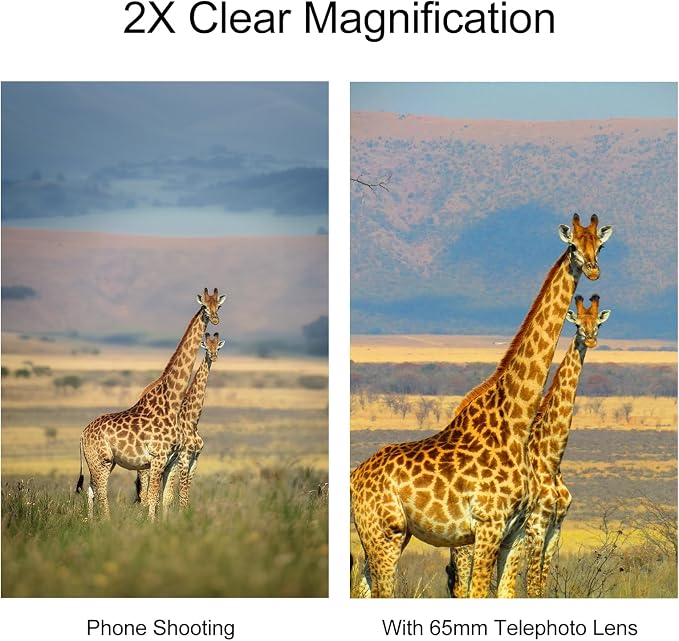 65MM Telephoto Lens for iPhone Android Smartphones, with 17mm Thread Universal Phone Lens Clip and Portable Bag, Compatible with SmallRig and NEEWER Phone Cage