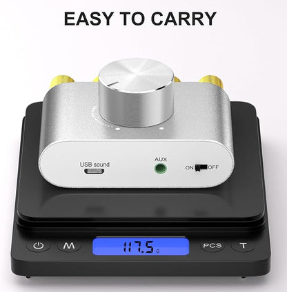 Facmogu F900S 160W Bluetooth 5.0 Mini Amplifier, 80Wx2 2.0CH Audio Power Amplifier, Hi-Fi Stereo Sound Digital Amp Wireless Speaker Amp Receiver w/AUX/USB/BT Input & 12V 5A Power Adapter - Silver