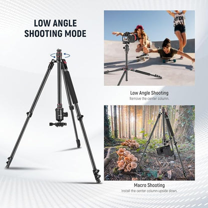 NEEWER 77 inch Camera Tripod Monopod for DSLR, Phone with 360° Panoramic Ball Head, 2 Axis Center Column, Arca Type QR Plate, Bag, Compact Aluminum Lightweight Travel Tripod 34lb Max Load, TP77