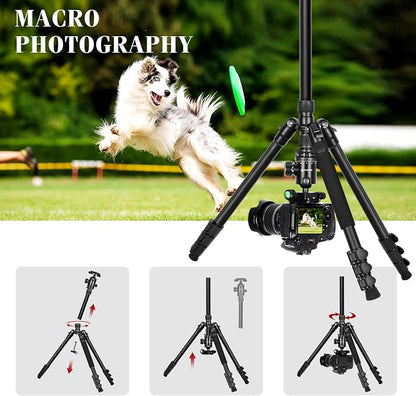 68" Ball Head Camera Tripod & Monopods, 360° Smooth Rotation V-Yoke Rifle Shooting Tripod & Hunting Stick, Heavy Duty Tripod for Camera and Outdoor Hunting with 16.5" Min Size and Carry Bag