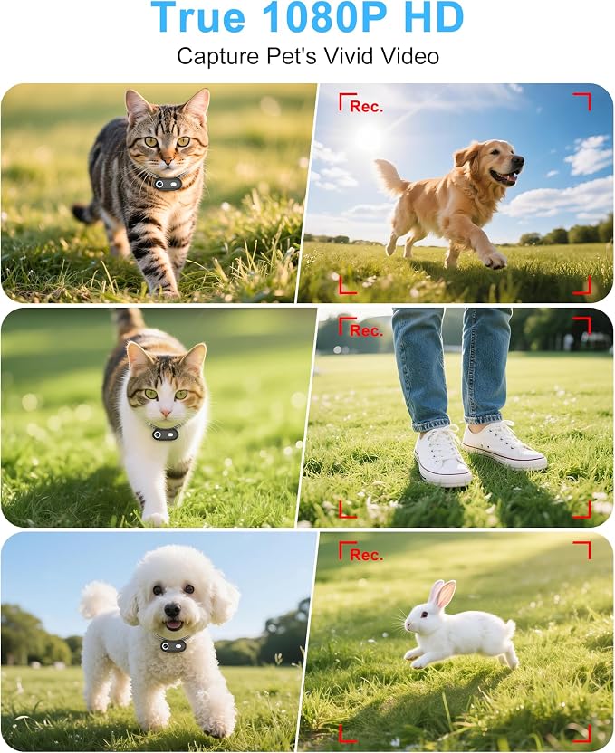 Cat Camera Collar with Phone APP, 1080P HD Video Recording, XS/M-Size Pet POV Cam for Dogs & Big Cats, Cordless Pet Collar Cameras with APP Viewing (XS-Collar)