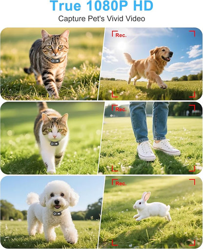 Cat Camera Collar with Phone APP, 1080P HD Video Recording, XS/M-Size Pet POV Cam for Dogs & Big Cats, Cordless Pet Collar Cameras with APP Viewing (XS-Collar)