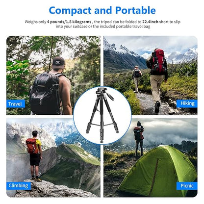 NEEWER Portable Aluminum Alloy Camera 2 in 1 Tripod Monopod Max. 70"/177cm with 3 Way Swivel Pan Head and Carrying Bag for DSLR, DV Video Camcorder (SAB264, Black)