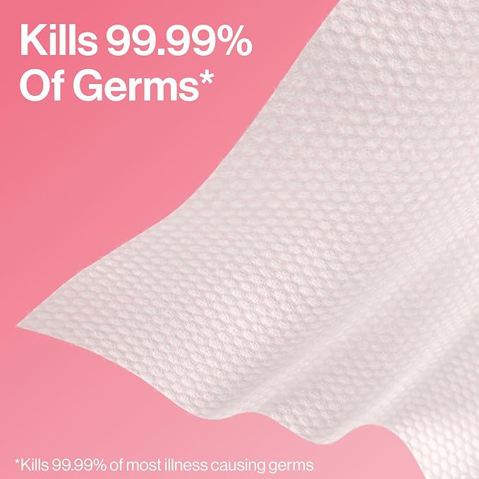 The Honest Company Grapefruit Grove Sanitizing Wipes, Kills 99.99% of Germs, Safe for All Hands, Antibacterial, Dermatologist Tested, 50 Count