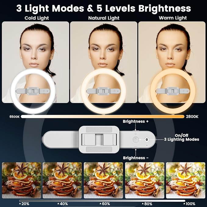 Ring Light with Overhead Phone Mount, 10" Selfie Light with Stand and Phone Holder for Video Recording, Desk Overhead Tripod for Content Creators, TikTok, YouTube, Zoom Meeting, Live Streaming