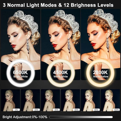 13" Selfie Ring Light with Stand 76" Tall & Phone Holders,Sunset Lamp, Tablet Holder,Desk Tripod& 51 Color Modes, Ring Light Tripod for iPhone,Video Recording,Live Streaming(TikTok/YouTube/Instagram)