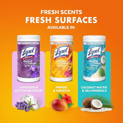 Lysol Disinfecting Wipes Bundle, Home Apartment Dorm Room Essentials and Cleaning Supplies, All Purpose Cleaner, Multi-surface Cleaning & Sanitizing Wipes, Lavender & Mango Scents, 80 Count (4pk)