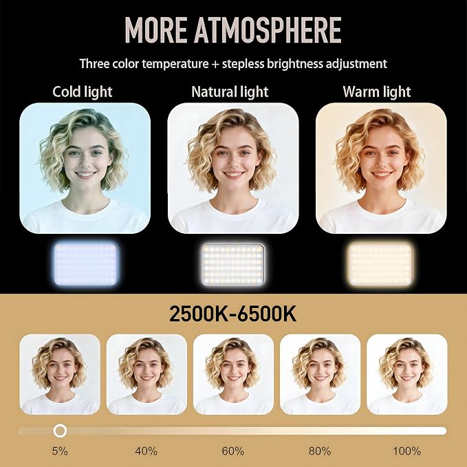 Selfie Light for Video Conference and Make Up,91 LED Clip On Light and Eye Friendly,3 Modes 10 Brightness, Rechargeable 2000mAh, Portable Compatible with Phone Laptop Webcam Zoom,Live Streaming